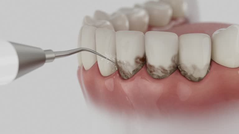 Reliable Dental contractor in Centerville, SC by Dentist Open Now